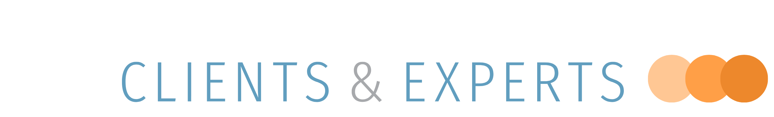Clients & Experts Consulting